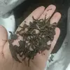 Іван-чай .листя ферментоване/(Лист кипрея ферментированный).fermentatum fireweed folia